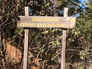 Desviación Cerro San Miguel